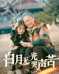 �����޹������