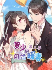 贺少的闪婚暖妻第三季