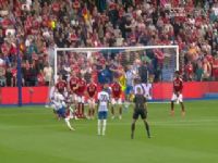 Ӣ������ ������VSŵ����ɭ�� 20240922